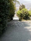 Viale_terrazzone.JPG (72032 byte)