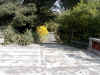 Vialetto_da_terrazzone.JPG (72627 byte)