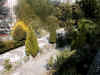Vialone_2.JPG (79304 byte)