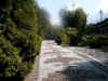 Vialone_4.JPG (73502 byte)